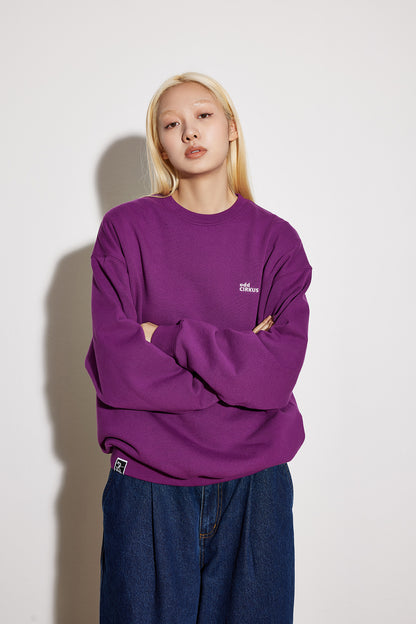 Loose Round Neck Long Sleeve Casual Sweatshirt - Purple